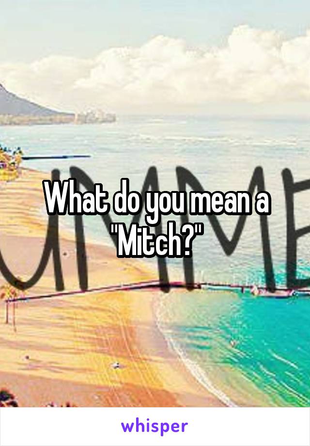 What do you mean a "Mitch?"