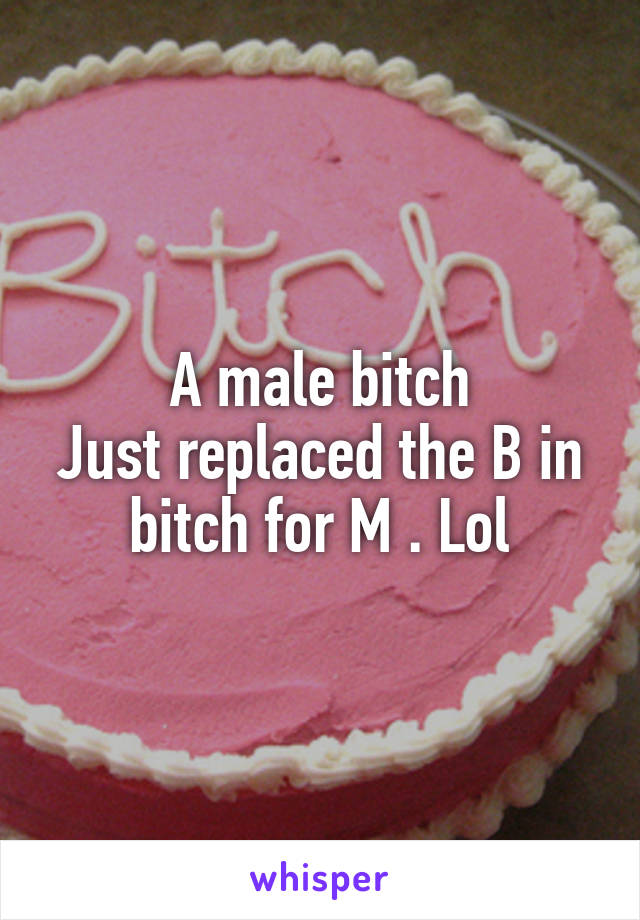 A male bitch
Just replaced the B in bitch for M . Lol