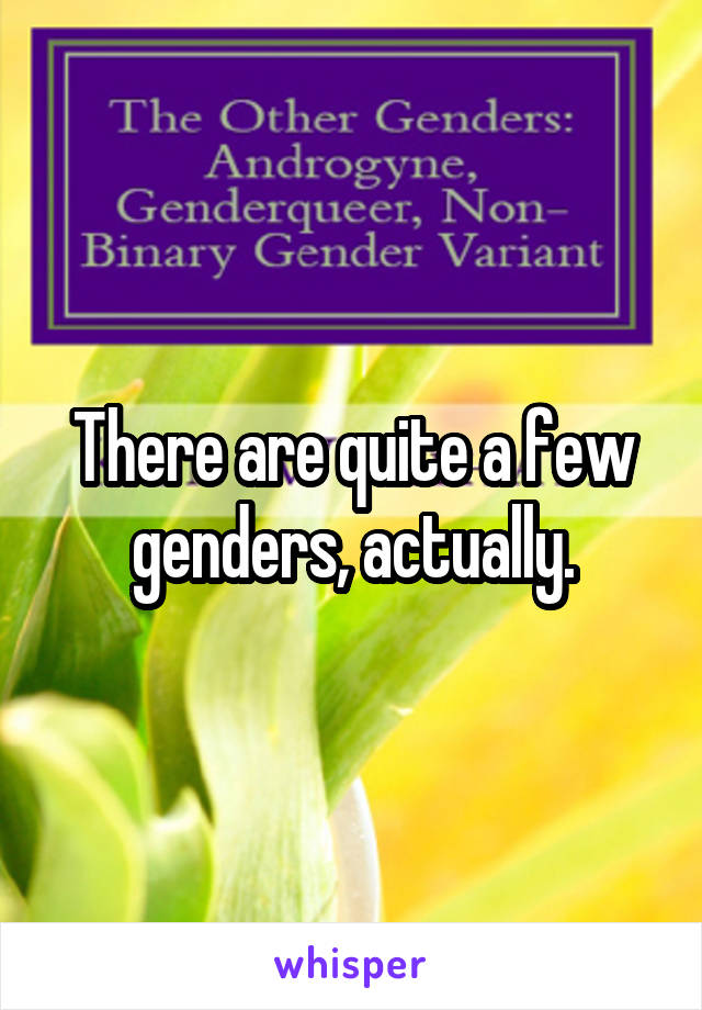 There are quite a few genders, actually.