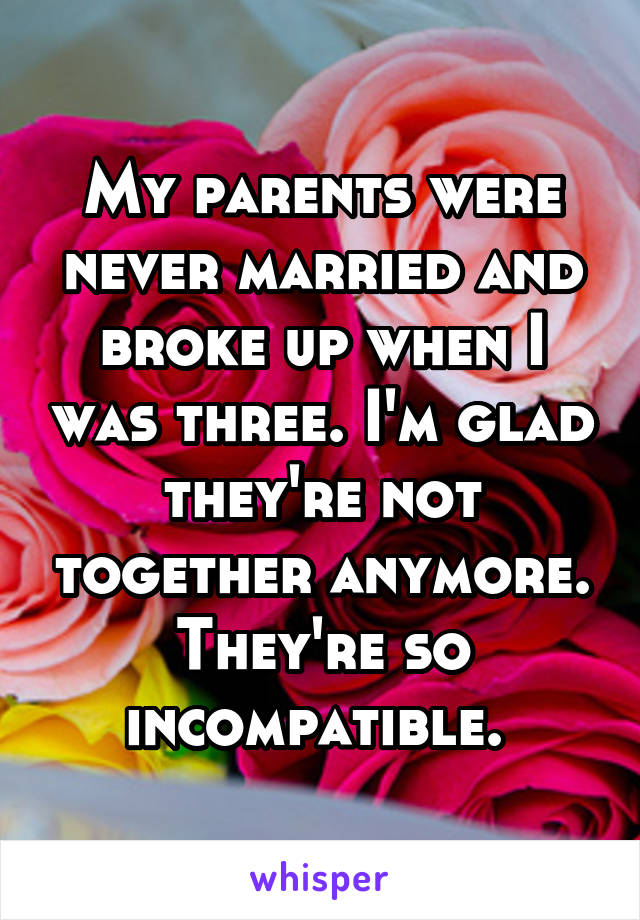 My parents were never married and broke up when I was three. I'm glad they're not together anymore. They're so incompatible. 