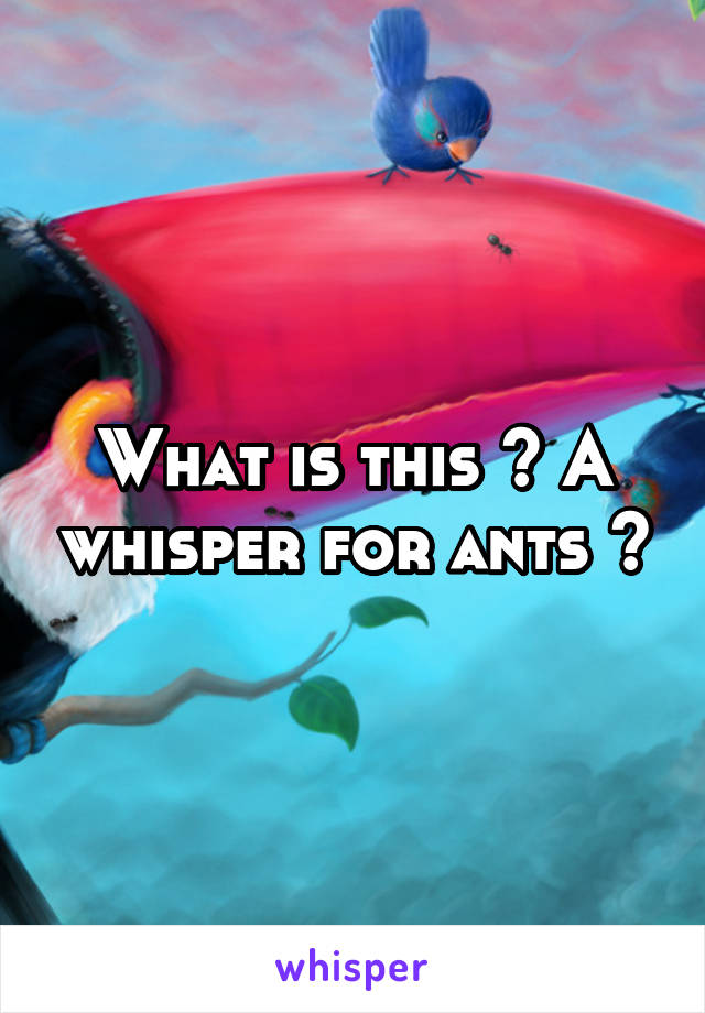 What is this ? A whisper for ants ?