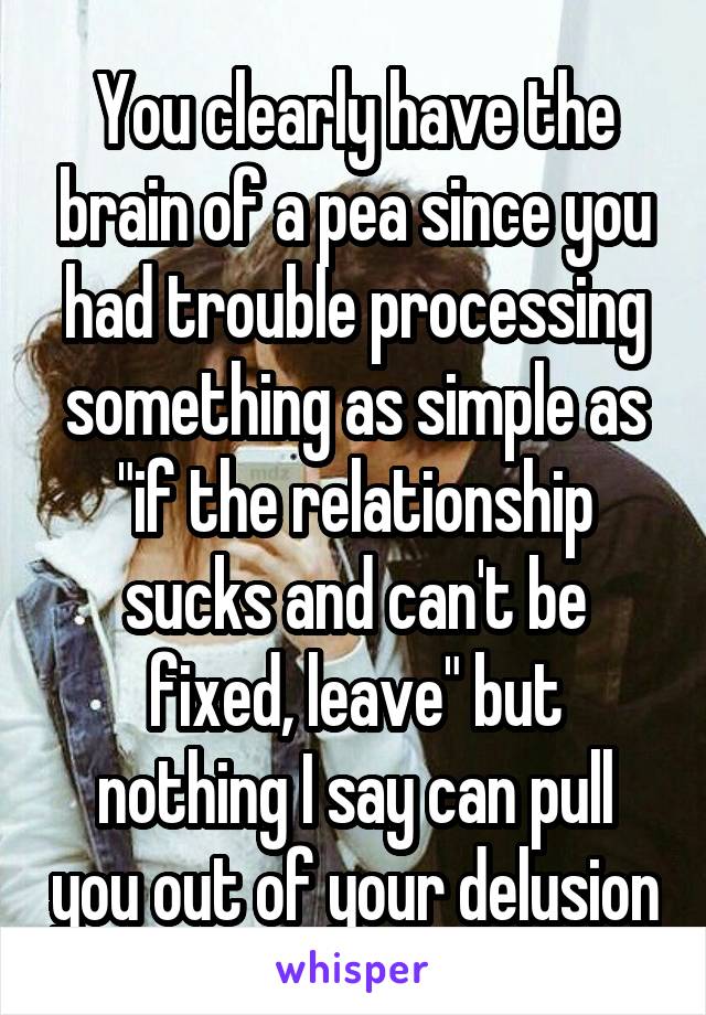 You clearly have the brain of a pea since you had trouble processing something as simple as "if the relationship sucks and can't be fixed, leave" but nothing I say can pull you out of your delusion