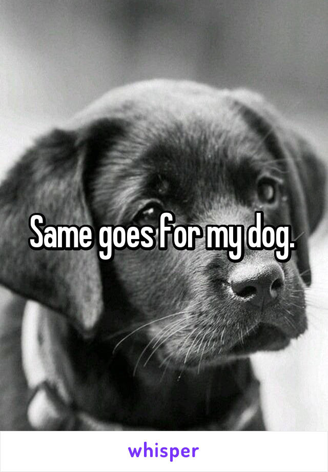 Same goes for my dog. 