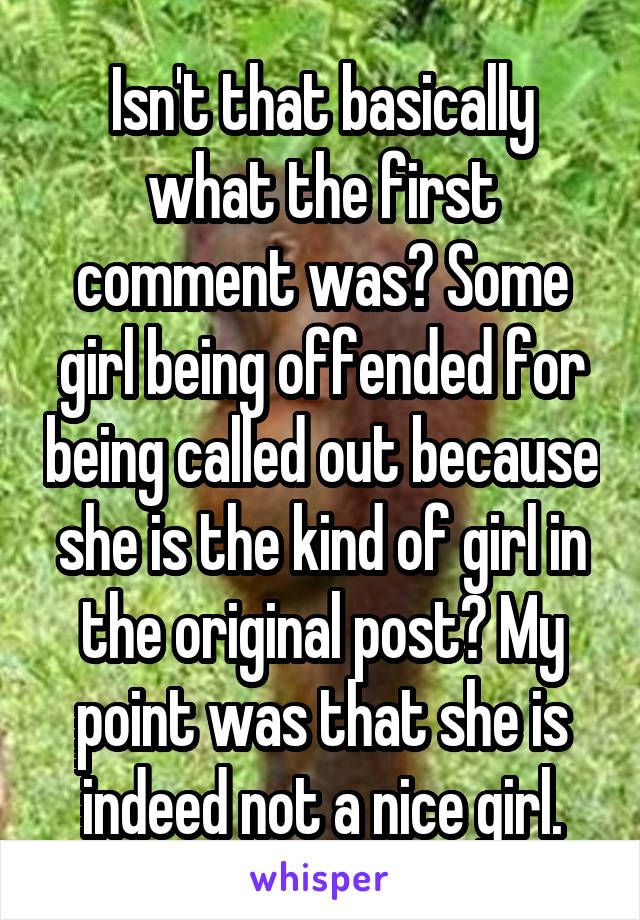 Isn't that basically what the first comment was? Some girl being offended for being called out because she is the kind of girl in the original post? My point was that she is indeed not a nice girl.