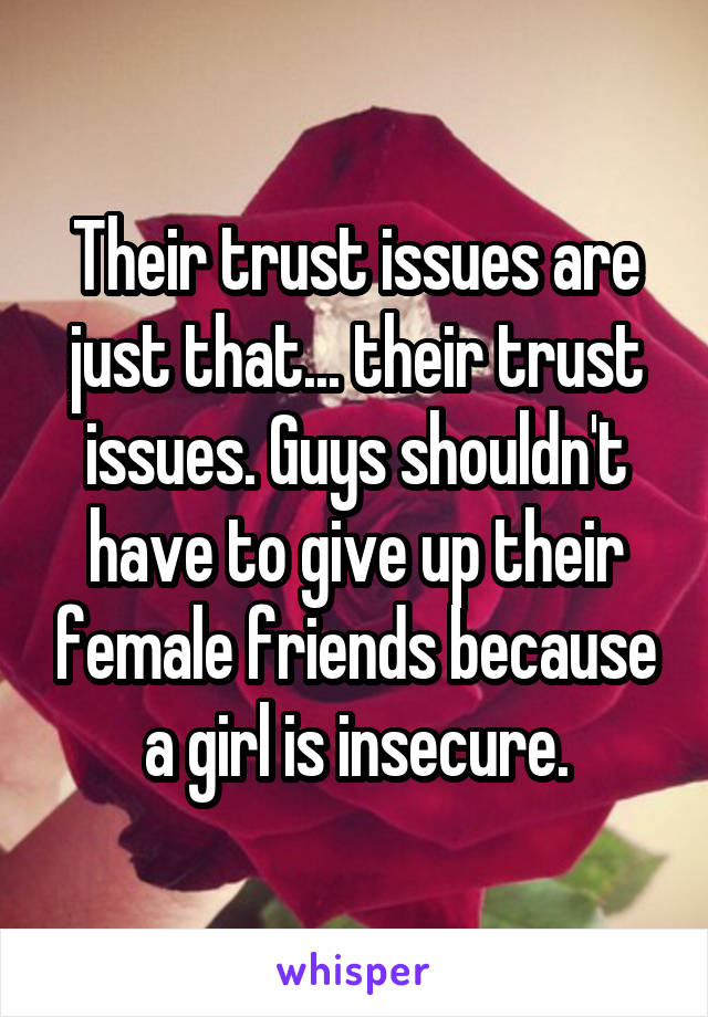 Their trust issues are just that... their trust issues. Guys shouldn't have to give up their female friends because a girl is insecure.