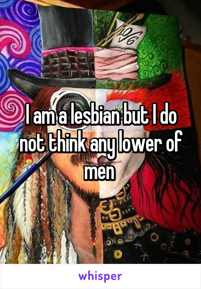 I am a lesbian but I do not think any lower of men 