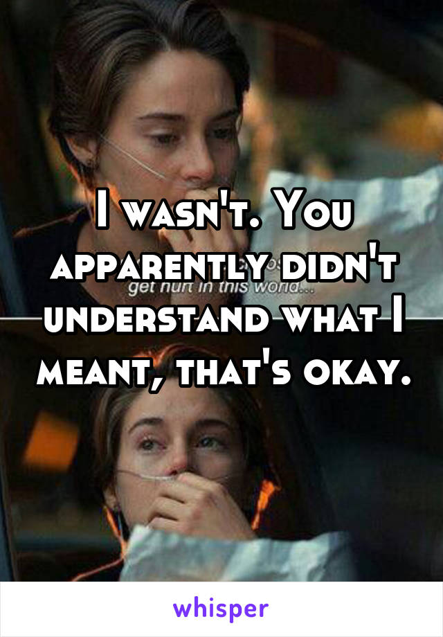 I wasn't. You apparently didn't understand what I meant, that's okay. 