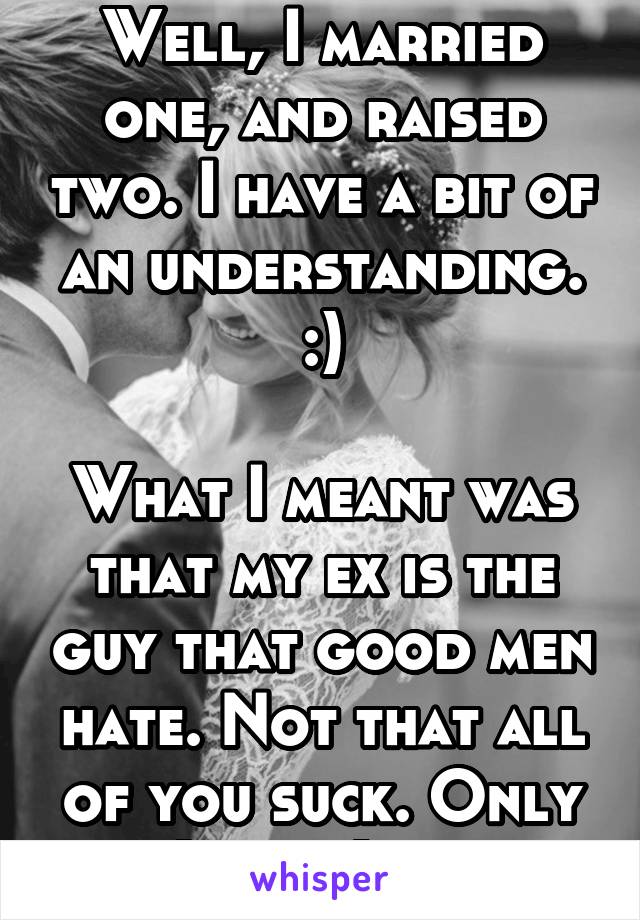 Well, I married one, and raised two. I have a bit of an understanding. :)

What I meant was that my ex is the guy that good men hate. Not that all of you suck. Only a (small) few. 