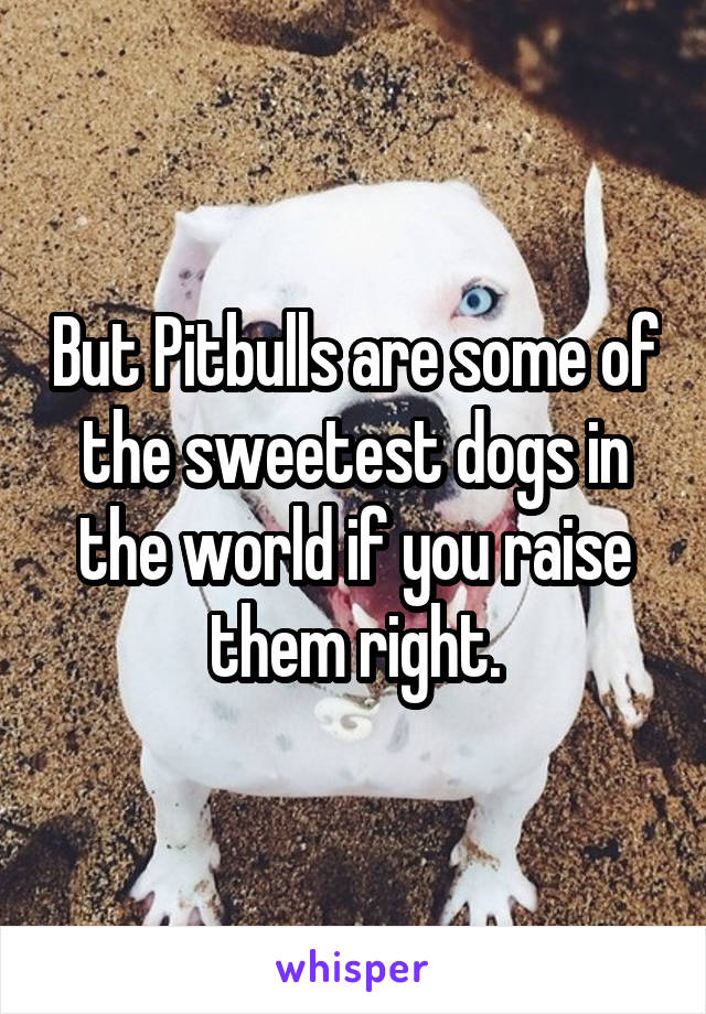 But Pitbulls are some of the sweetest dogs in the world if you raise them right.