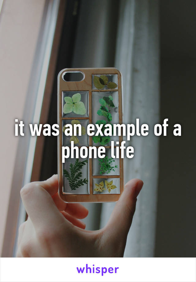 it was an example of a phone life