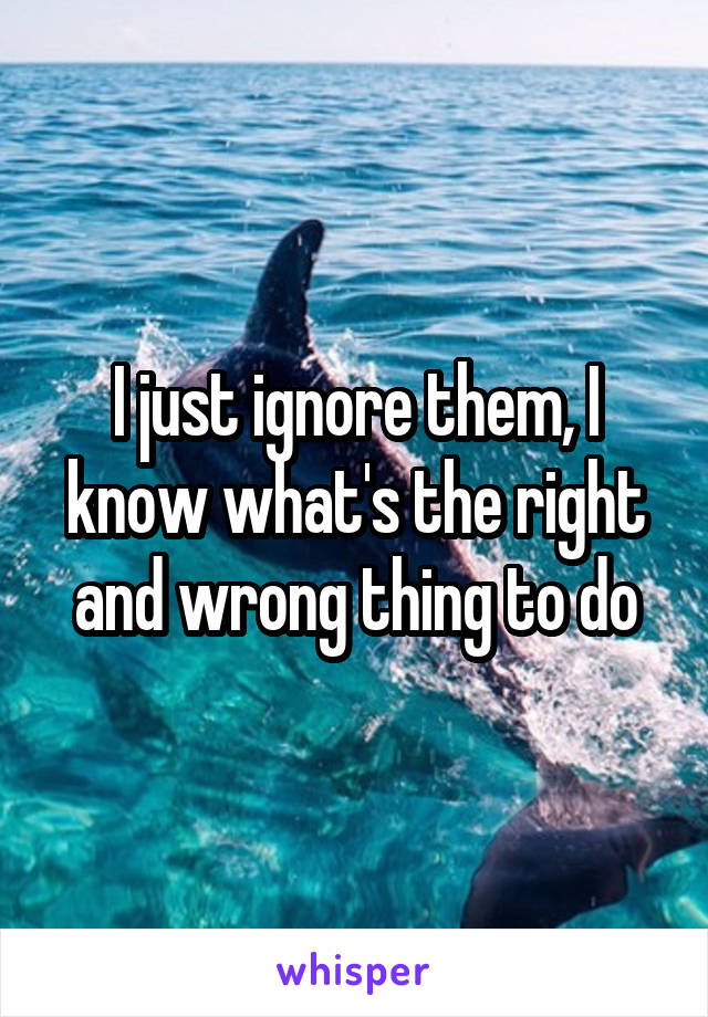 I just ignore them, I know what's the right and wrong thing to do