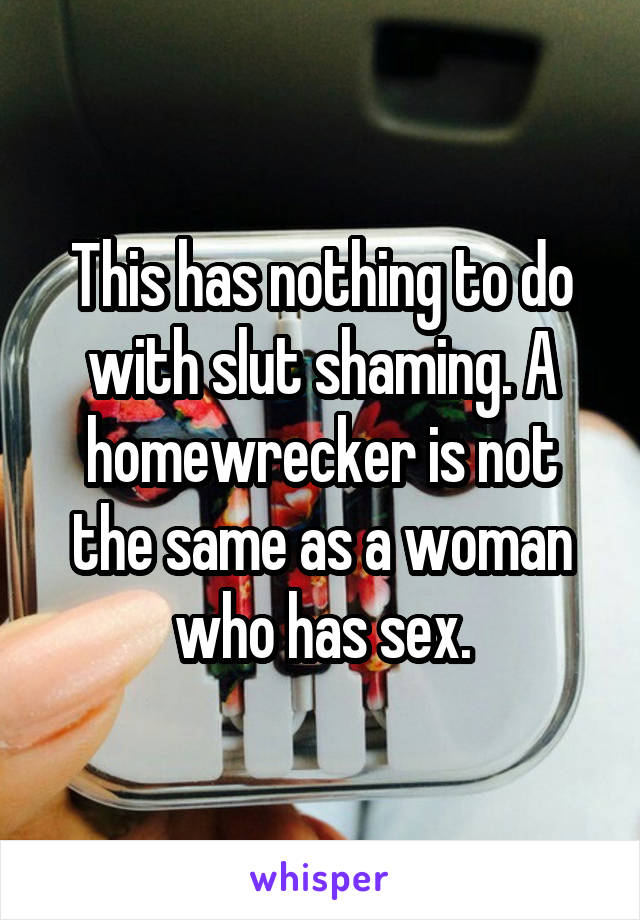 This has nothing to do with slut shaming. A homewrecker is not the same as a woman who has sex.