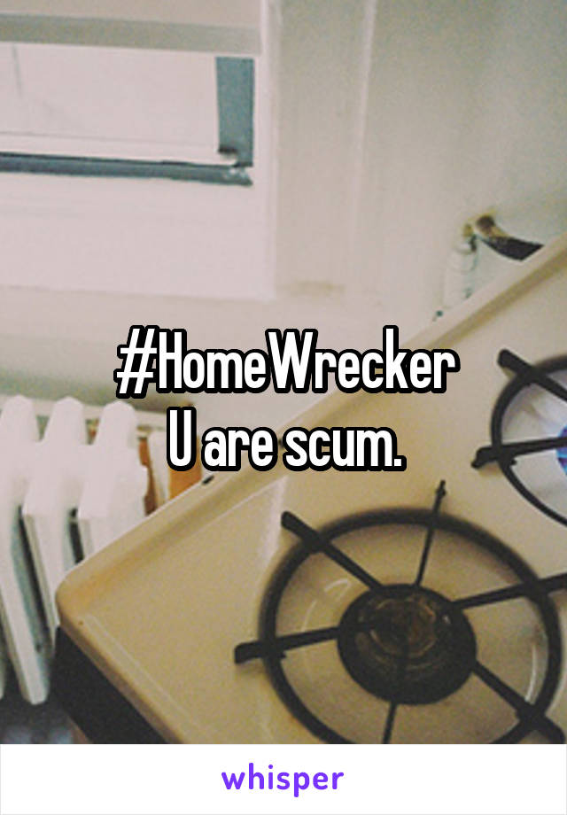 #HomeWrecker
U are scum.