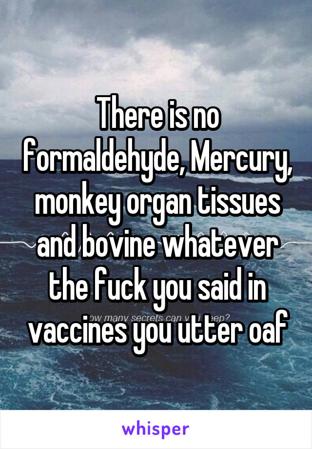 There is no formaldehyde, Mercury, monkey organ tissues and bovine whatever the fuck you said in vaccines you utter oaf