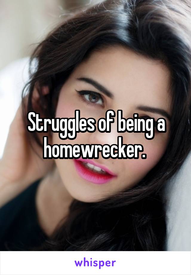 Struggles of being a homewrecker. 