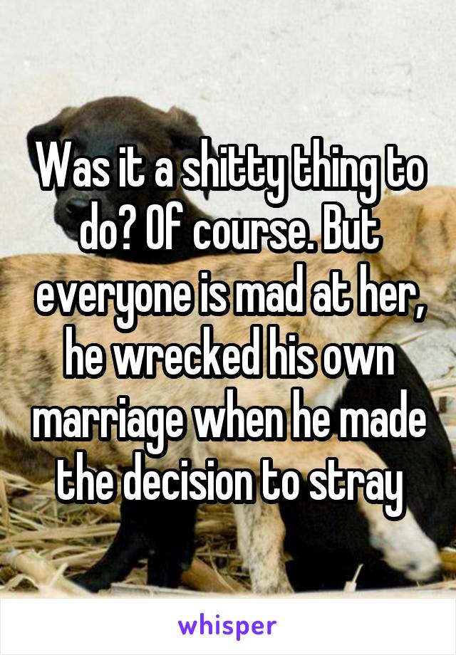 Was it a shitty thing to do? Of course. But everyone is mad at her, he wrecked his own marriage when he made the decision to stray