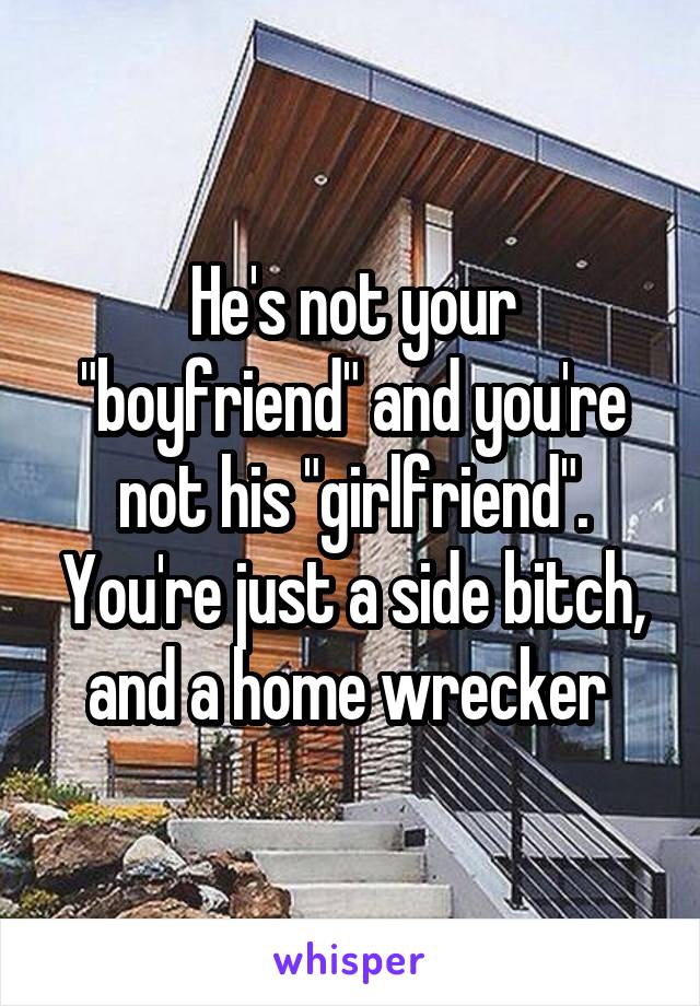 He's not your "boyfriend" and you're not his "girlfriend". You're just a side bitch, and a home wrecker 