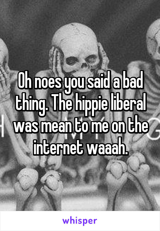 Oh noes you said a bad thing. The hippie liberal was mean to me on the internet waaah.