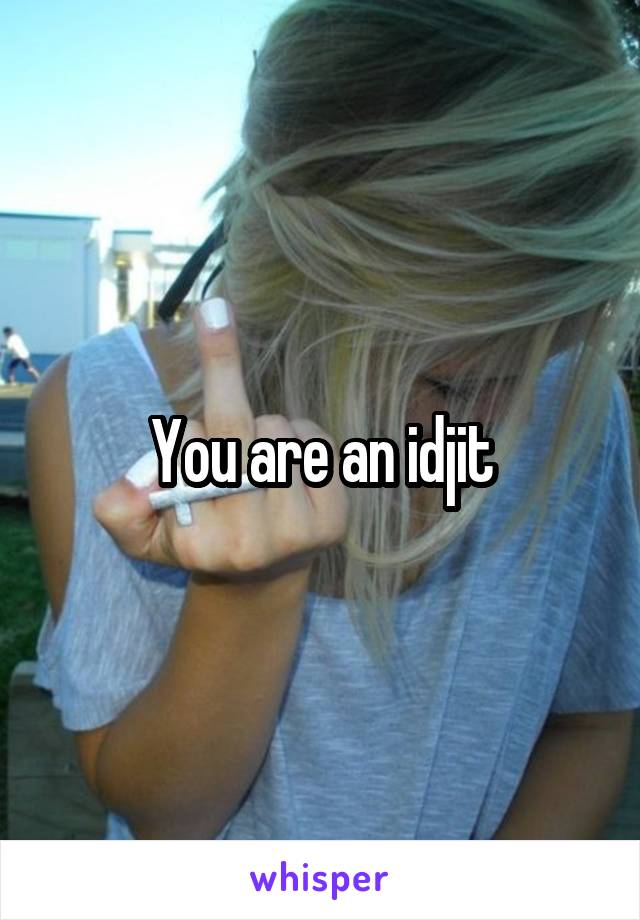 You are an idjit