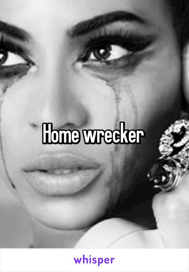 Home wrecker 