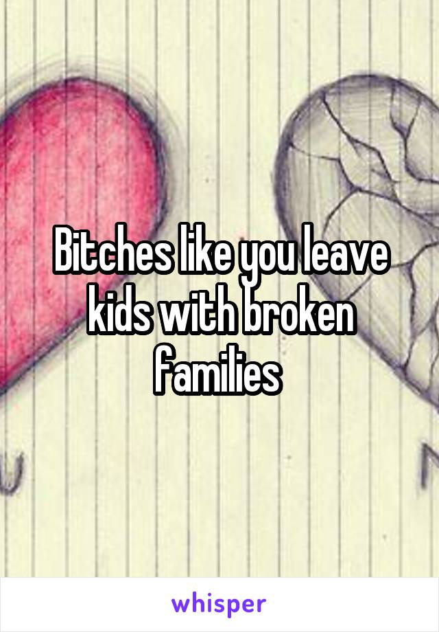 Bitches like you leave kids with broken families 