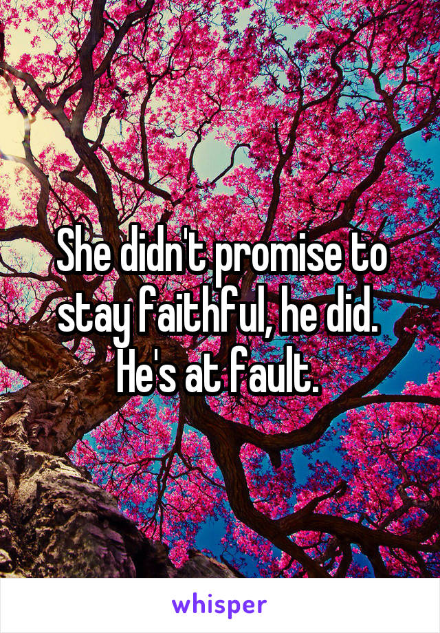 She didn't promise to stay faithful, he did.  He's at fault. 