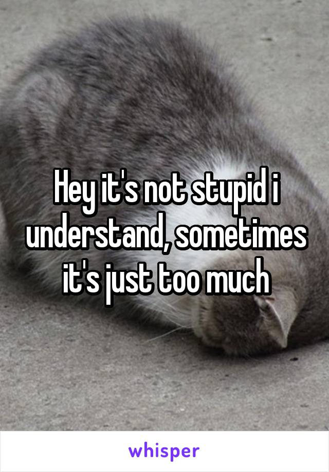 Hey it's not stupid i understand, sometimes it's just too much