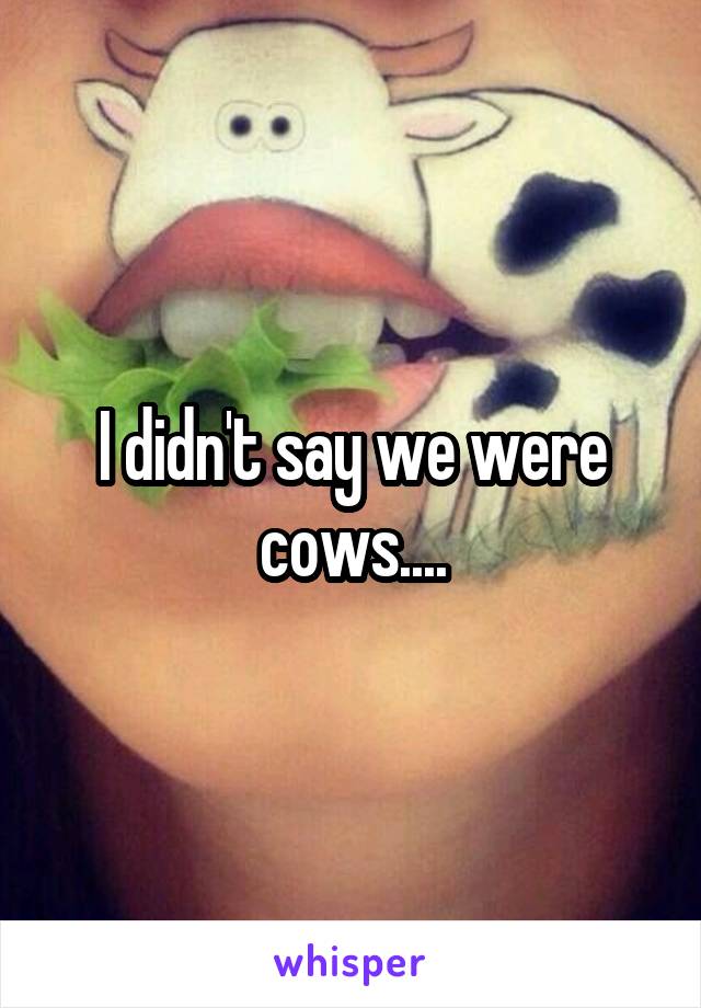 I didn't say we were cows....