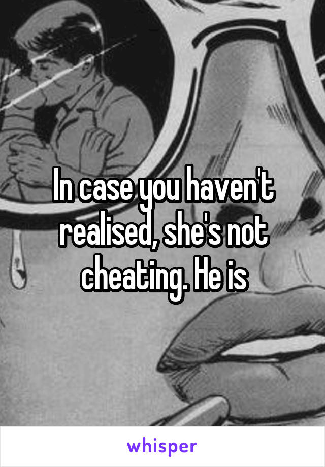 In case you haven't realised, she's not cheating. He is