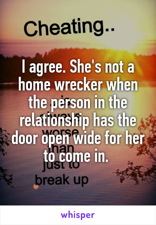 I agree. She's not a home wrecker when the person in the relationship has the door open wide for her to come in. 