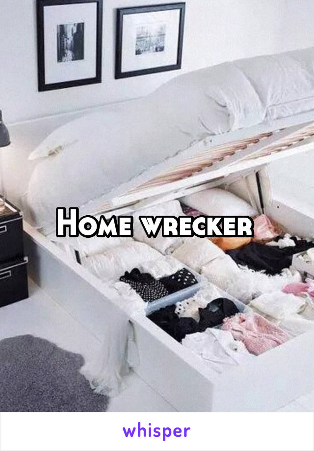 Home wrecker 