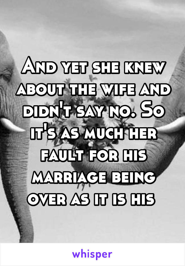 And yet she knew about the wife and didn't say no. So it's as much her fault for his marriage being over as it is his 