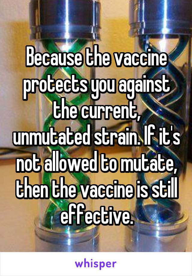 Because the vaccine protects you against the current, unmutated strain. If it's not allowed to mutate, then the vaccine is still effective.