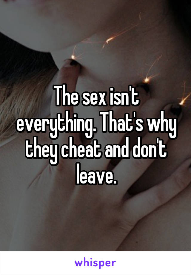 The sex isn't everything. That's why they cheat and don't leave.