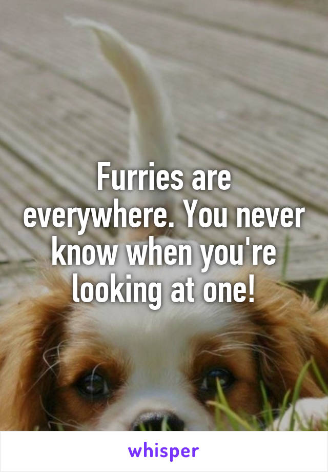 Furries are everywhere. You never know when you're looking at one!