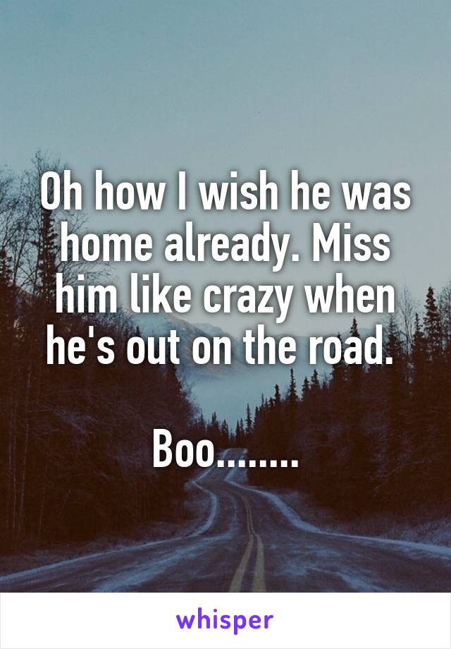 Oh how I wish he was home already. Miss him like crazy when he's out on the road. 

Boo........
