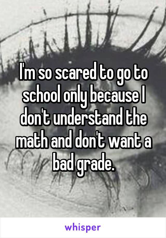 I'm so scared to go to school only because I don't understand the math and don't want a bad grade.