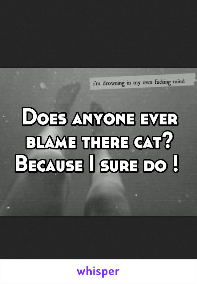 Does anyone ever blame there cat? Because I sure do ! 