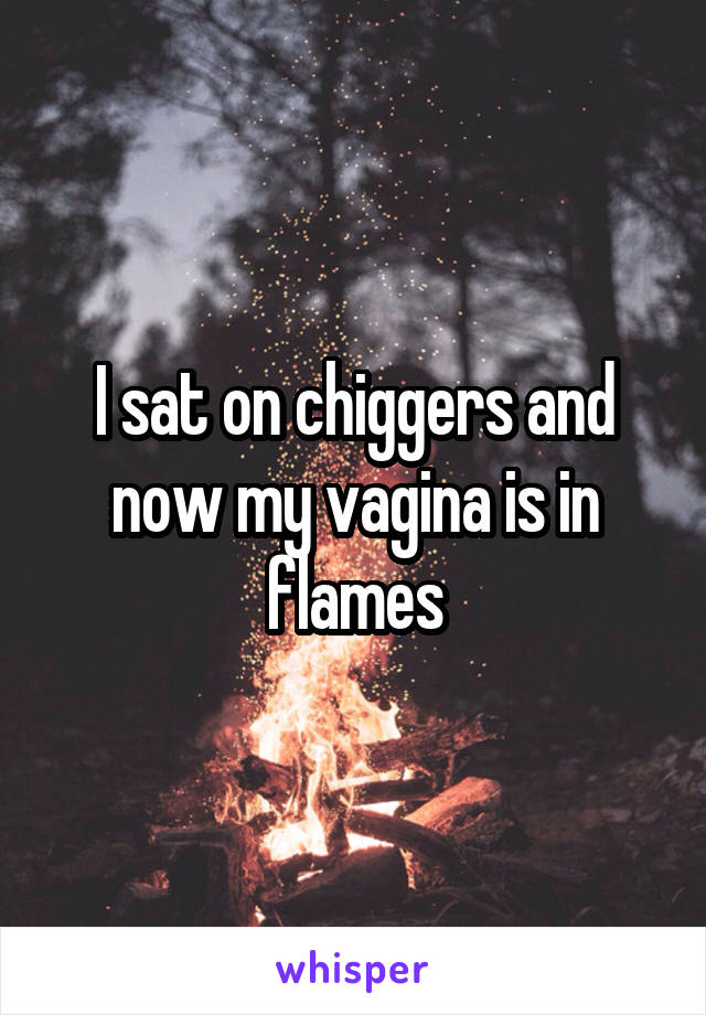 I sat on chiggers and now my vagina is in flames