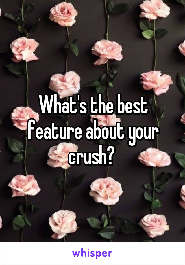 What's the best feature about your crush? 