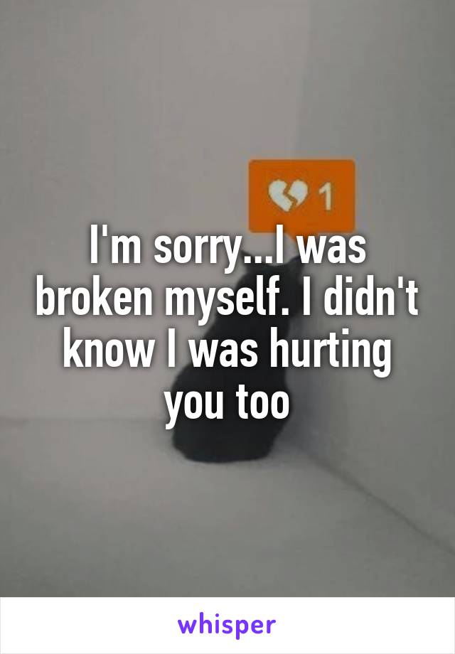 I'm sorry...I was broken myself. I didn't know I was hurting you too