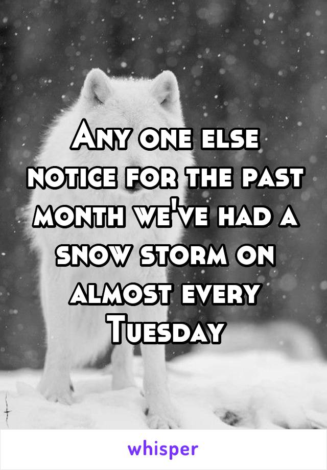 Any one else notice for the past month we've had a snow storm on almost every Tuesday