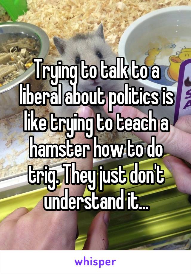 Trying to talk to a liberal about politics is like trying to teach a hamster how to do trig. They just don't understand it...