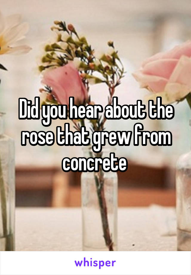 Did you hear about the rose that grew from concrete 