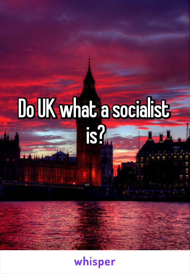 Do UK what a socialist  is?
