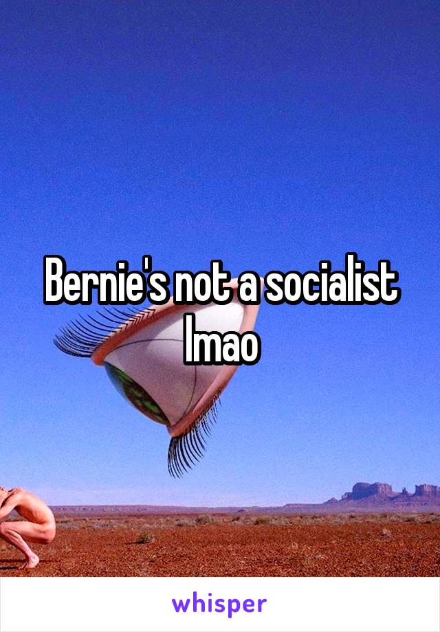 Bernie's not a socialist lmao