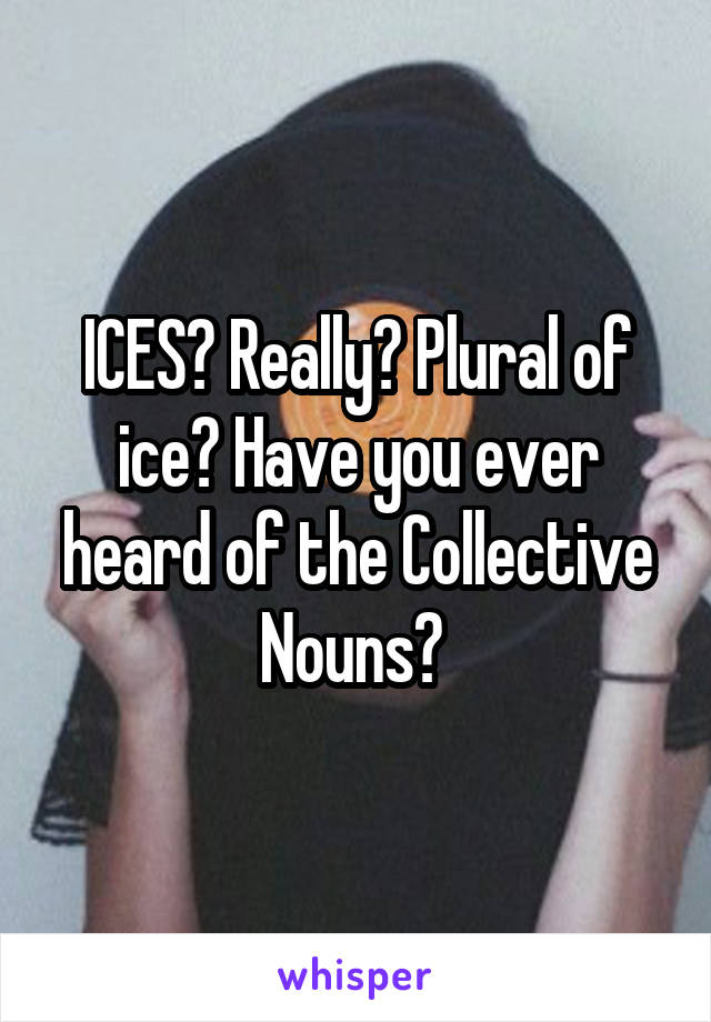 ICES? Really? Plural of ice? Have you ever heard of the Collective Nouns? 