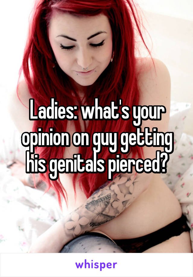 Ladies: what's your opinion on guy getting his genitals pierced?