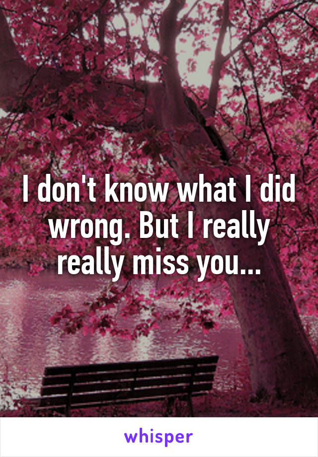 I don't know what I did wrong. But I really really miss you...