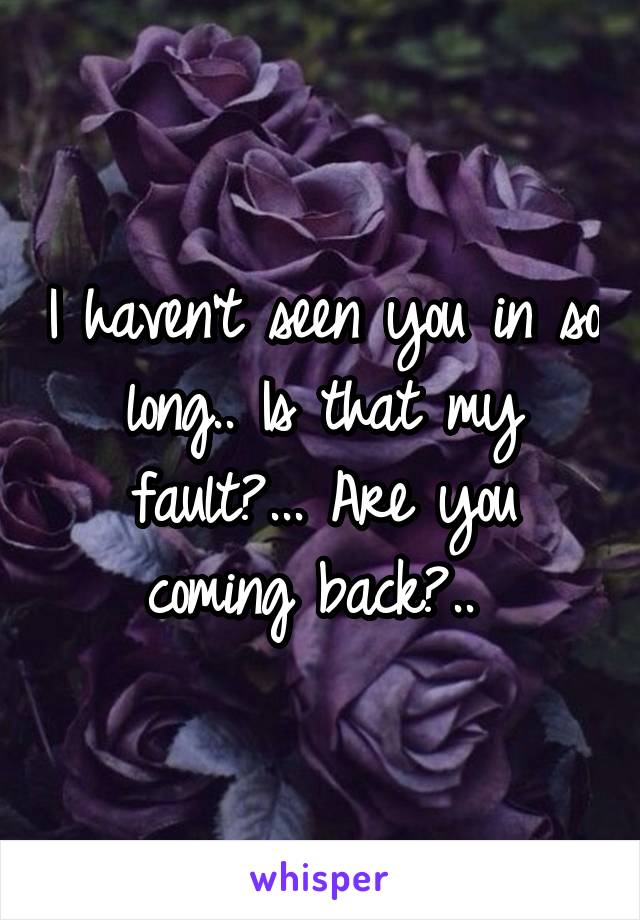 I haven't seen you in so long.. Is that my fault?... Are you coming back?.. 